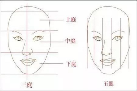 影響翹鼻較重要的地方。