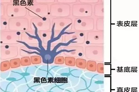 祛斑偏方“害死人”，小仙女們可長(zhǎng)點(diǎn)心吧！