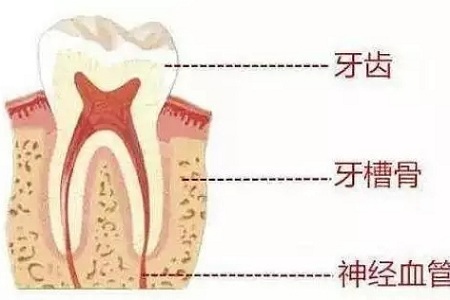 做牙齒矯正 ，真的要趁早！