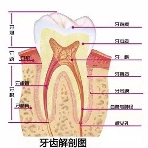 問診室：為什么我的牙卻永遠(yuǎn)也刷不白？