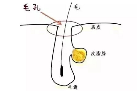 如何在炎熱的夏天，做清爽白凈的小姐姐？