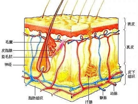 水光