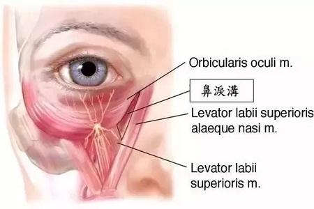 眼袋淚溝怎樣同時(shí)祛除